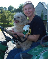 Puce on tractor