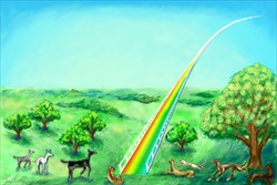 Rainbow Bridge - GNU Wiki Free Licence. Thanks to Maris Stella