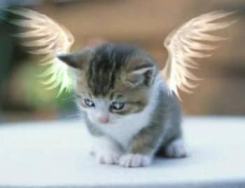 Thanks to Peta for the photo!