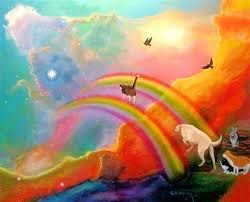 Rainbow Bridge picture - thanks to cats.org.uk