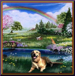 Rainbow Bridge 3